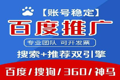 SEM广告投放的技巧与策略——成功案例分享